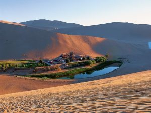 Оазис в пустыне Гоби фото